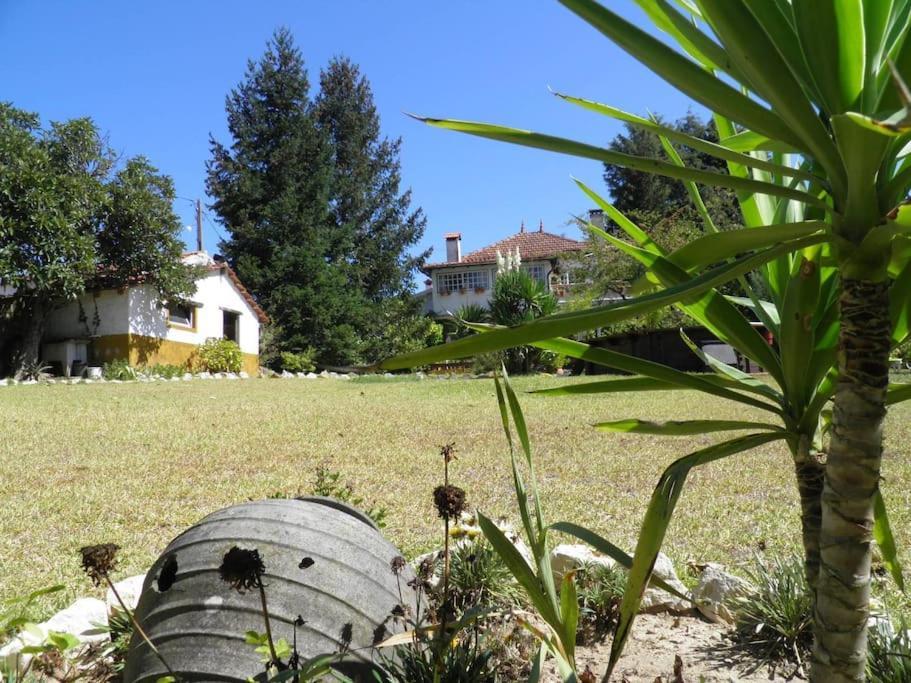 Atlantic Nest Poiares Villa Vila Nova de Poiares Exterior photo